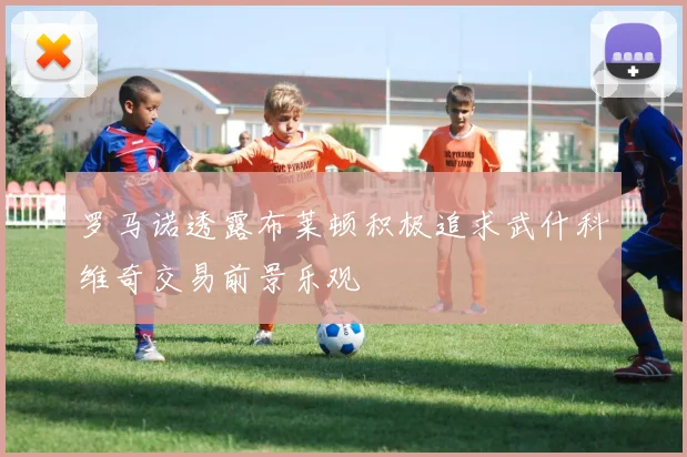 罗马诺透露布莱顿积极追求武什科维奇交易前景乐观