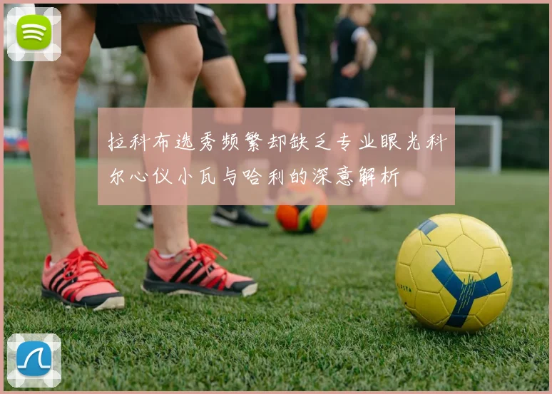 拉科布选秀频繁却缺乏专业眼光科尔心仪小瓦与哈利的深意解析